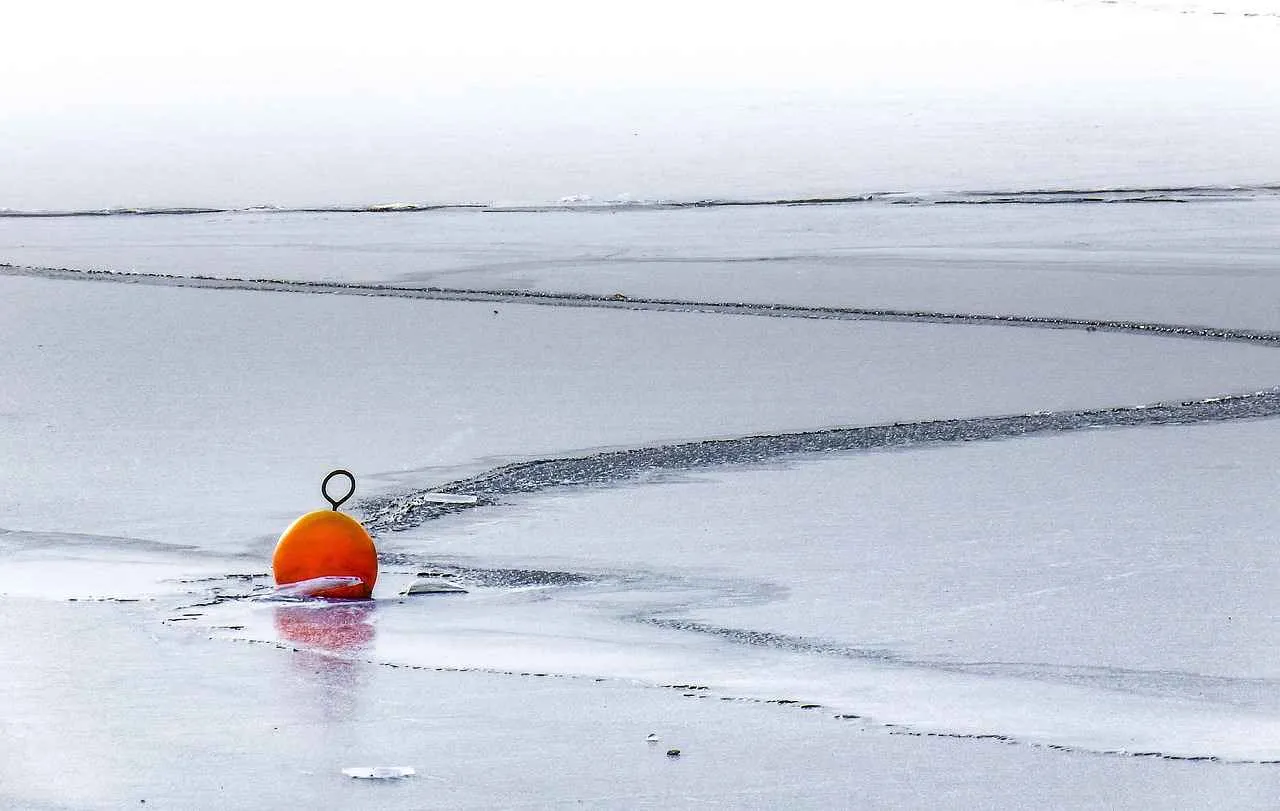 Yağlı Boya ile Yapılan En İlginç Portreler Yağlı Boya ile Yapılan En İlginç Portreler