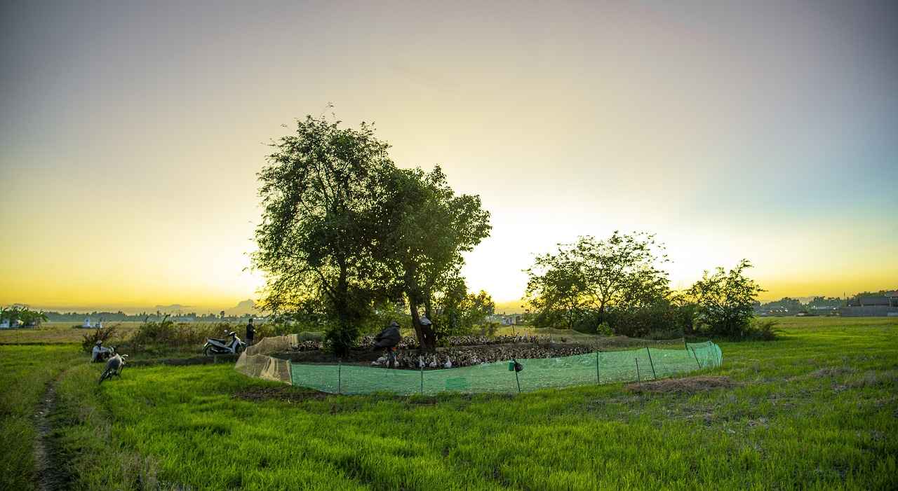 Resim yapmanın zihinsel sağlığa katkıları