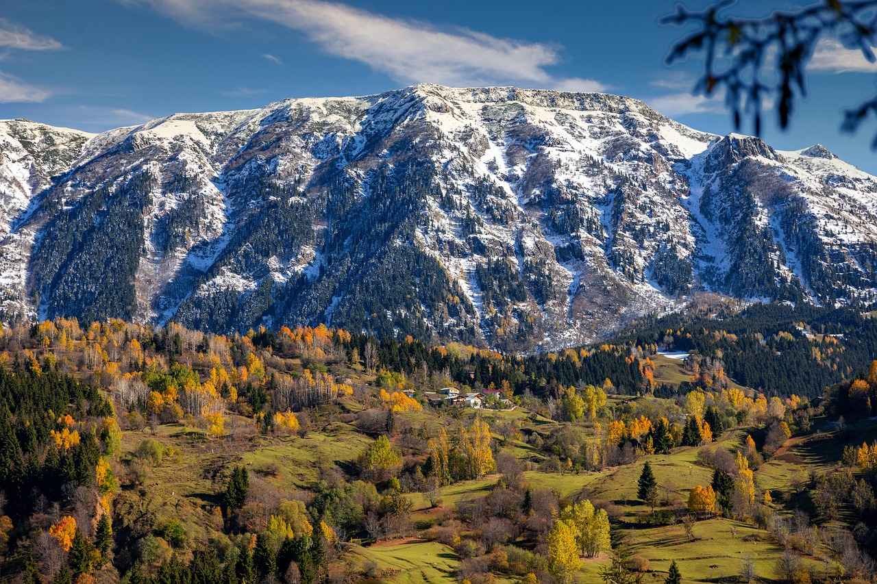 Yağlı boya ile doğa manzaraları nasıl yapılır?
