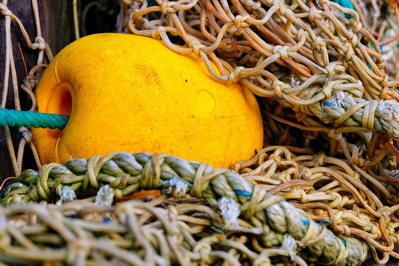 Yağlı boya ile resim yapmanın en iyi yolları