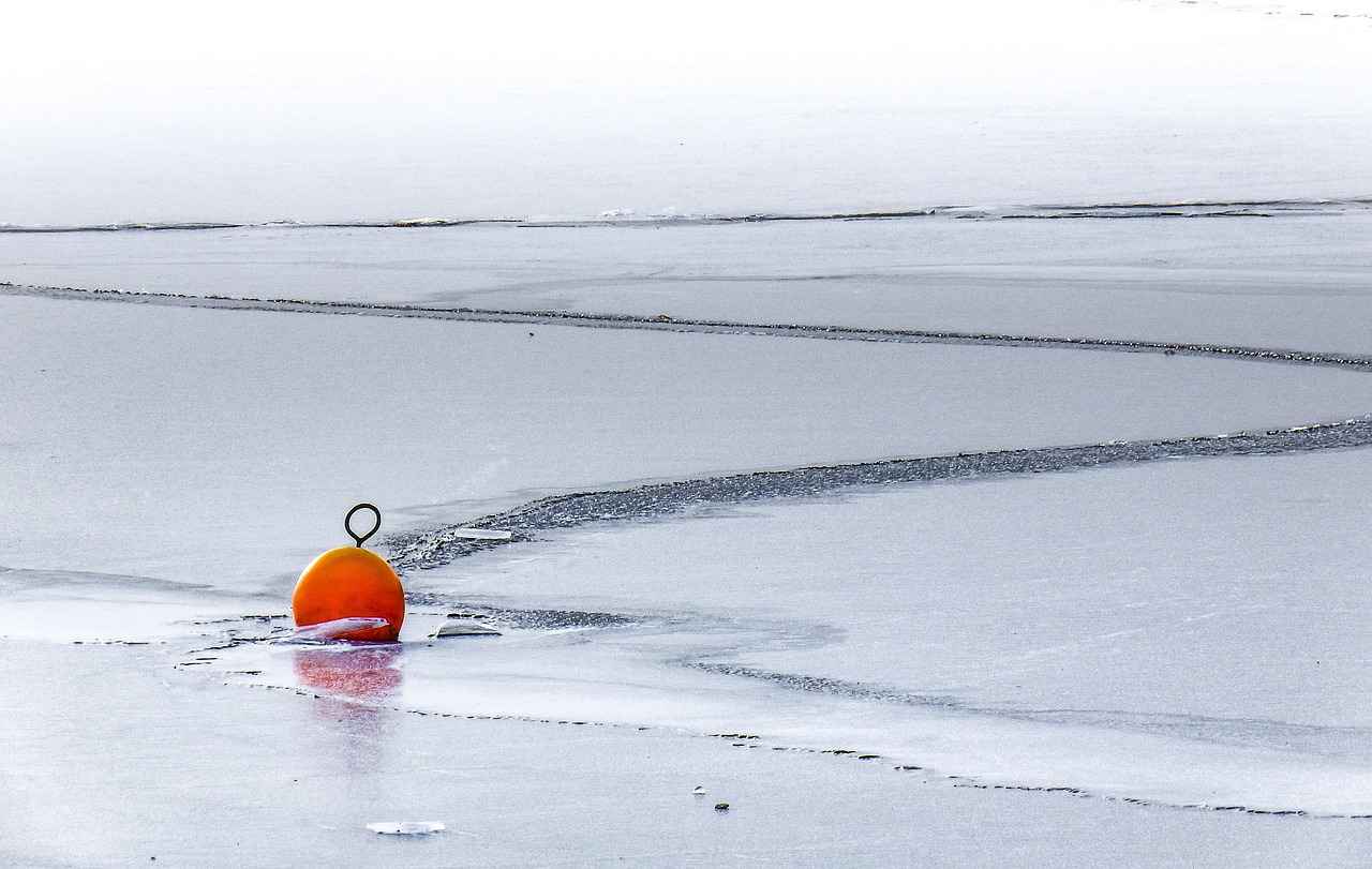 Yağlı Boya ile Yapılan En İlginç Portreler