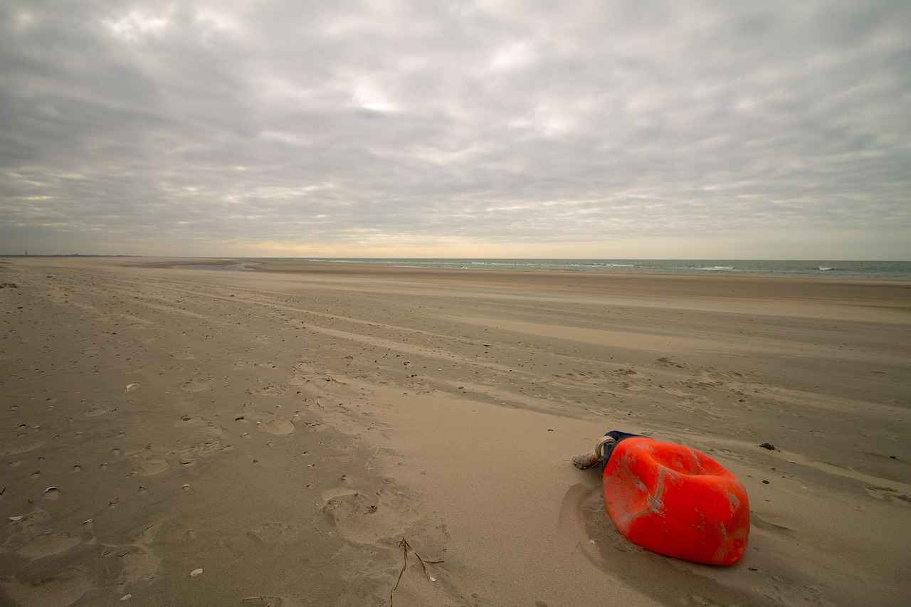 Yağlı Boya Tabloların Sergi Süreci