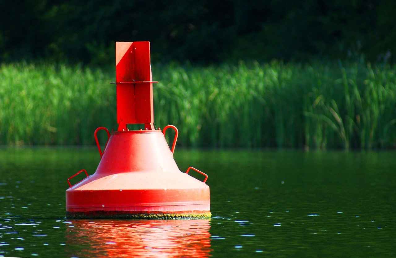 Yağlı Boyama için En İyi Malzemeler Nelerdir?